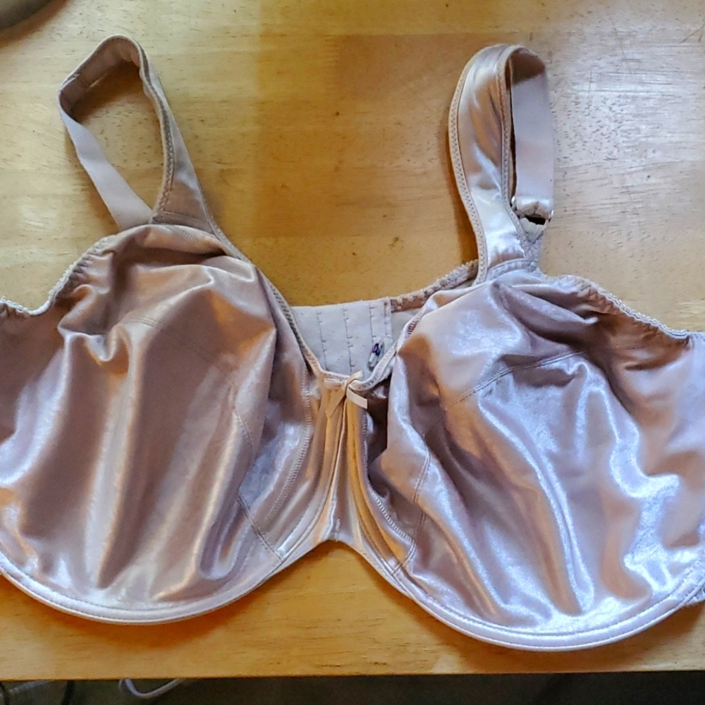 Slightly Worn Underwire Silk Bra